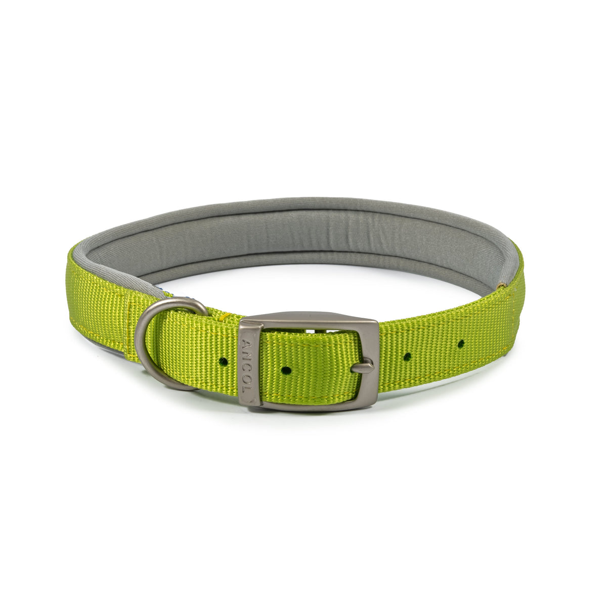 Ancol Viva Padded Buckle Collar