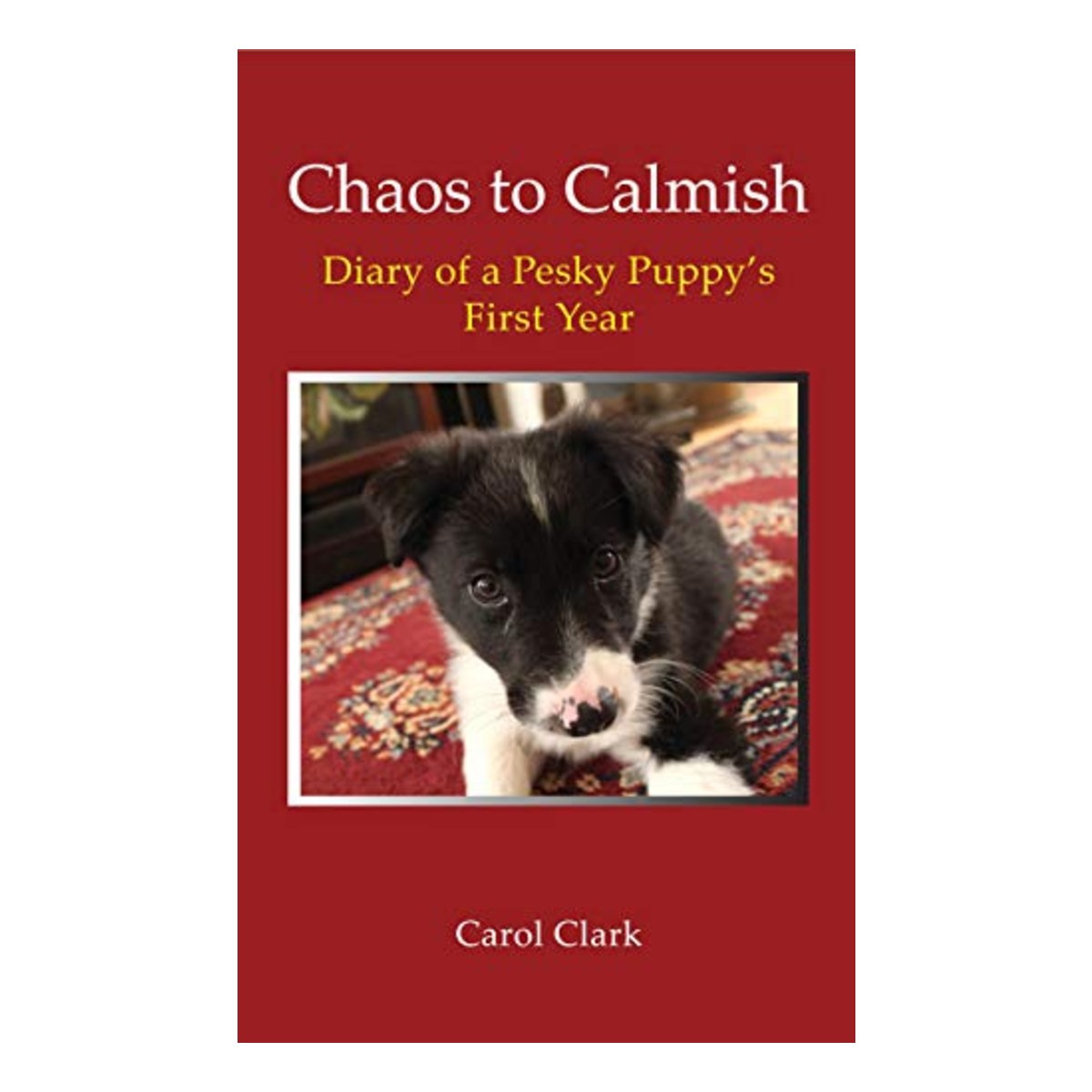 Chaos to Calm