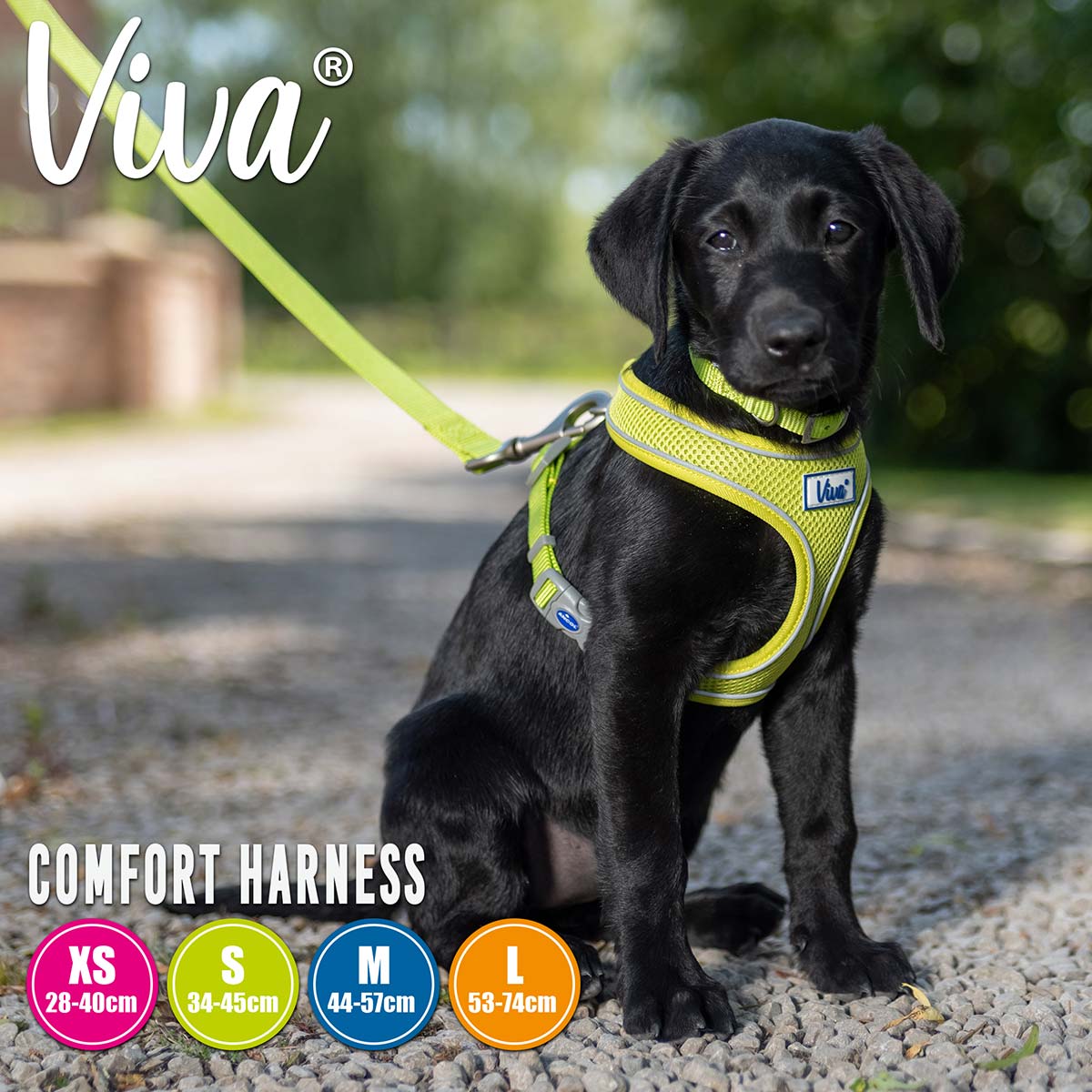 Ancol Viva Soft Harness