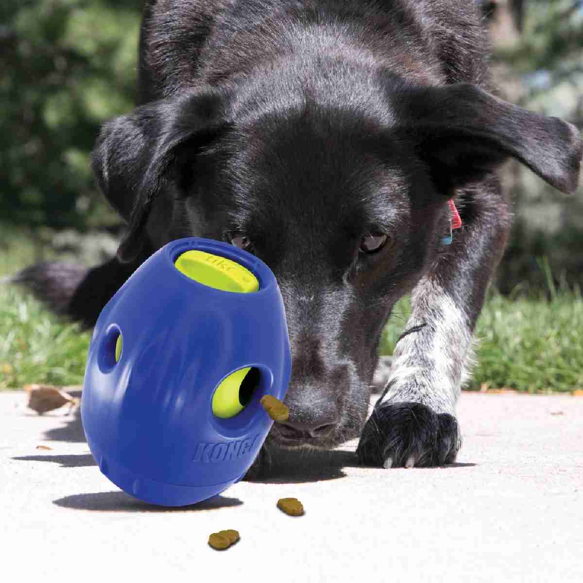 KONG Tikr Timed Treat Dispenser